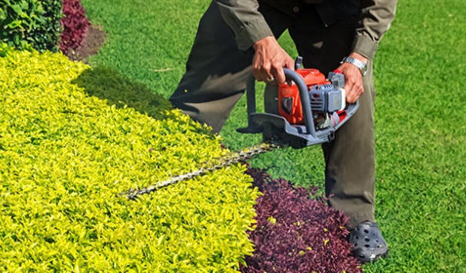 hedge trimming services near me