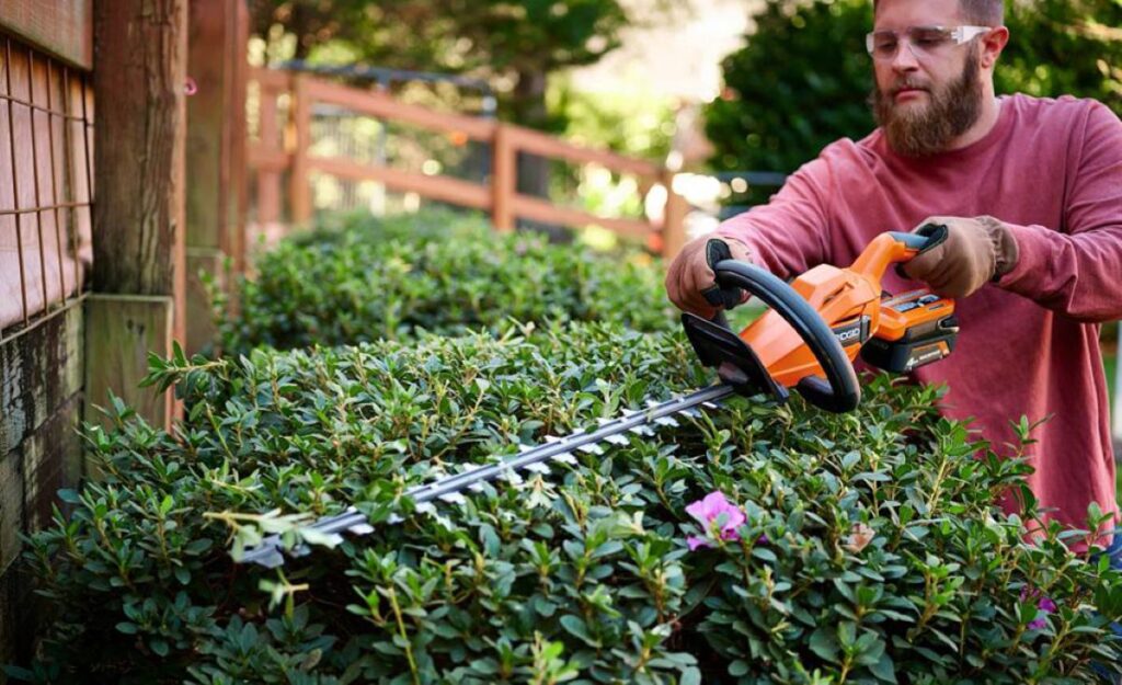 hedge trimming services near me