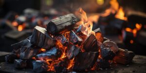 The Best Types of Firewood for Efficient Home Heating This Winter