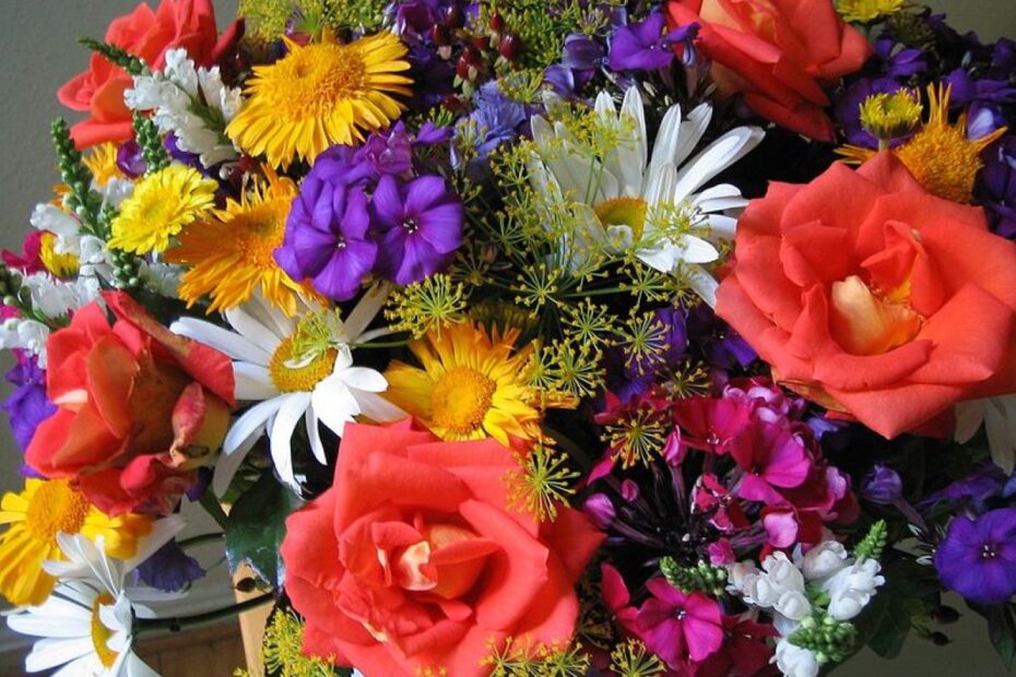 Kurraba Point florist